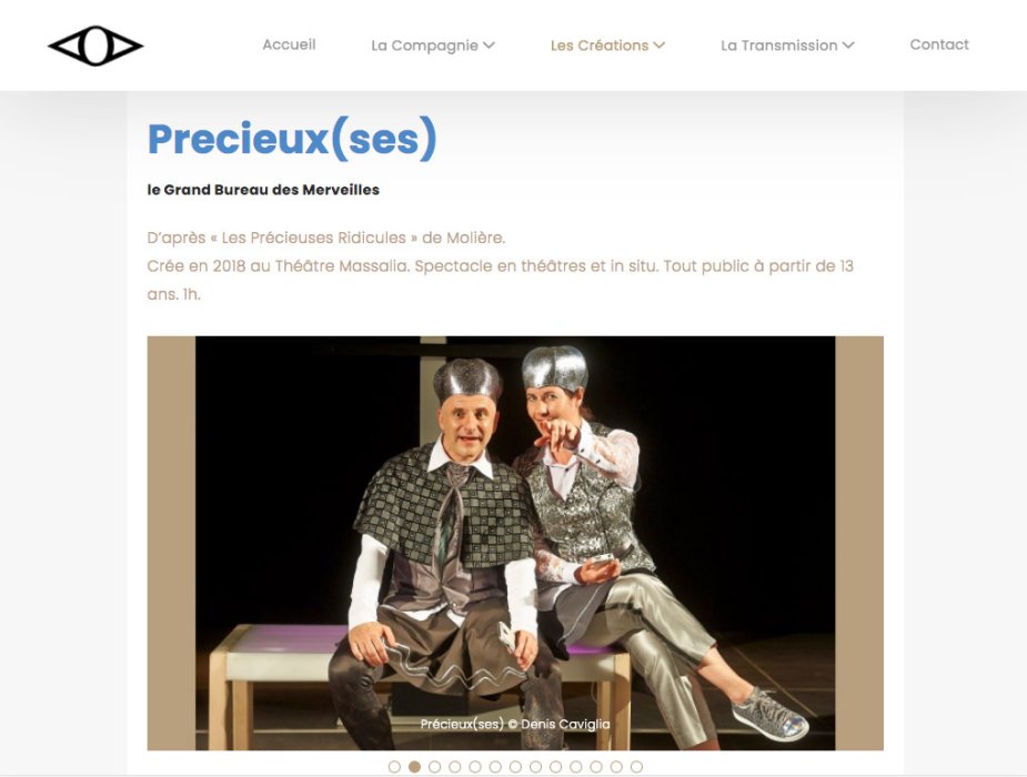 Site web Fiche spectacle compagnie Pirenopolis